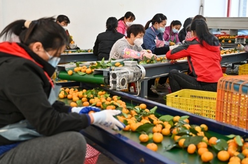 亚布力中国企业家论坛上 “龙江农品”成热议领域