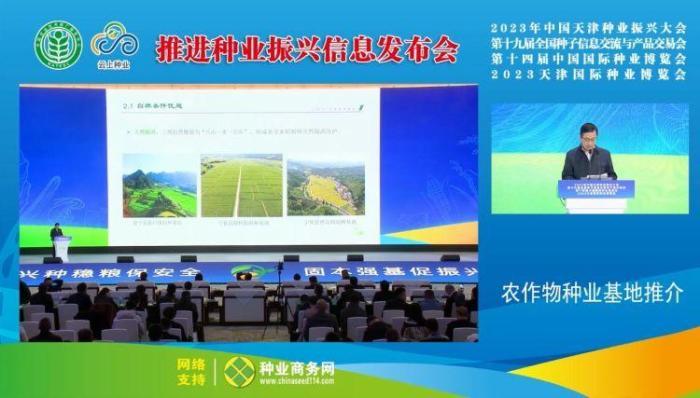 福建三明建设“中国稻种基地”  多重优势促种业振兴
