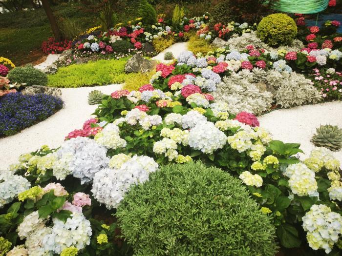广州园博会揭幕 开启相约春天的花事盛会