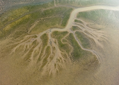 中国最大淡水湖鄱阳湖水位重回8米极枯线以上