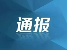 盜掘古墓、非法捕撈、污染生態(tài)……山東通報(bào)十起涉黃河保護(hù)典型案例