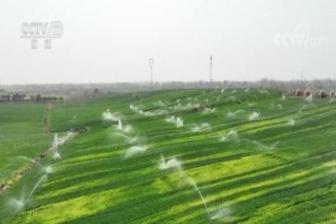 搶抓降雨有利時機 湖北已灌溉農田面積1360萬畝