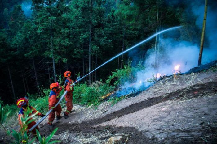 四川稻城县境内发生的森林火情已调集1100余人处置