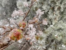 山東這里下雪了！強冷空氣繼續發威，多地再遇“換季式”降溫