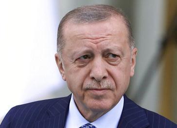土耳其总统埃尔多安“肠胃不适”，突然中断直播采访