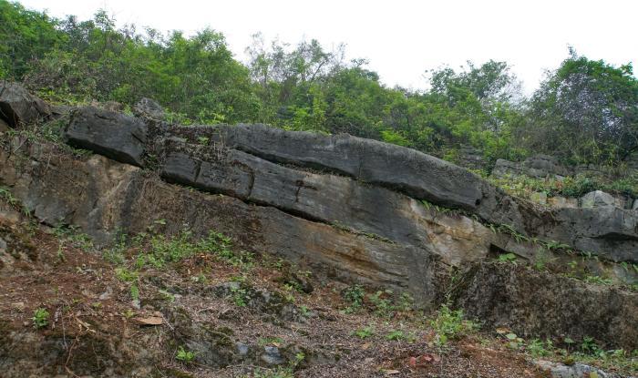 中国地质古生物知名专家讲述桂林山水“地学故事”
