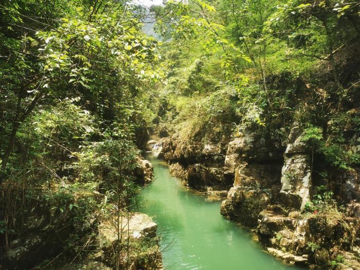 广东加快创建南岭国家公园 促进人与自然和谐共生