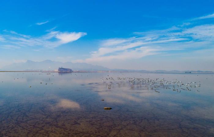 探访长江鄱阳湖水生生物保护基地：生物多样 美美与共