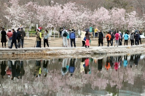 公園綠地開放共享，讓自然更可親近