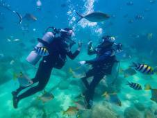 海南三亚：游客下水前可无理由退订潜水产品