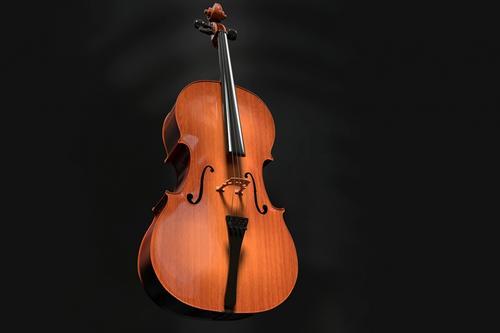 大提琴演奏家王健：最珍贵的艺术出处