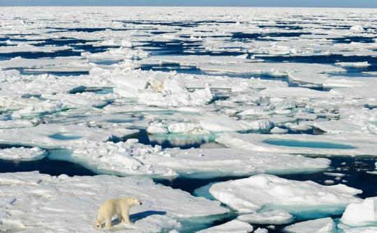 超出此前预计——到2030年代北极夏季可能没有海冰