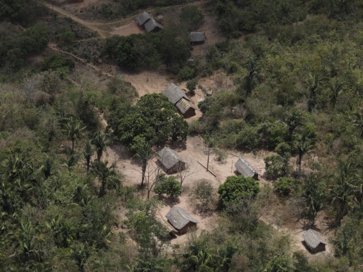 巴西亚马孙雨林上半年森林砍伐同比减少近34%