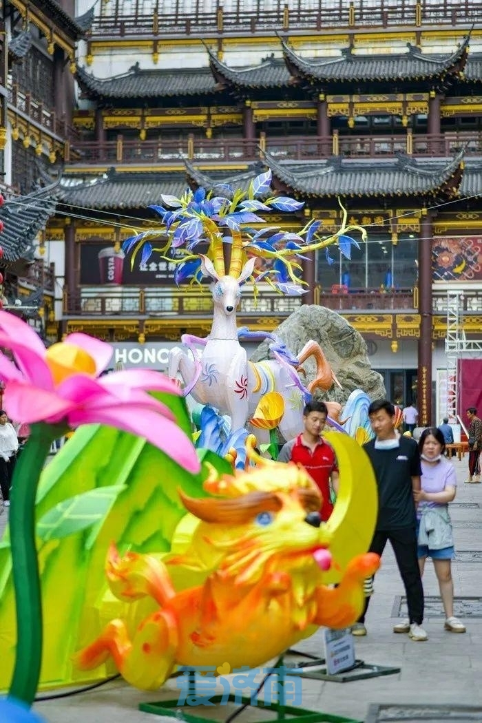 济南这处网红打卡地周末有新花样