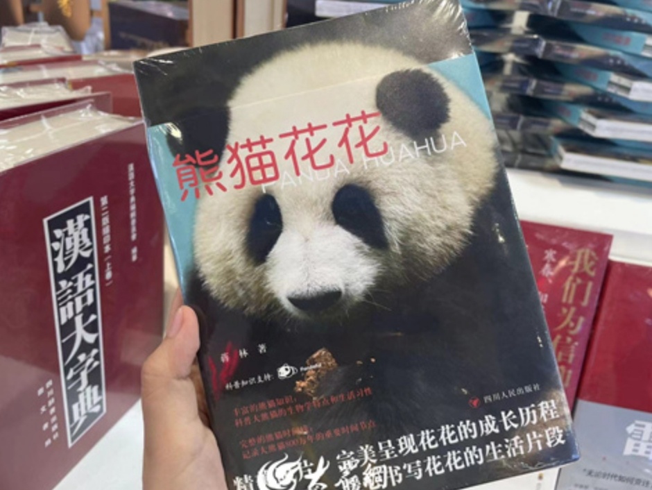 熊猫花花、三星堆、苏东坡都来书博会了！
