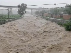 水利部：台风“杜苏芮”影响海河全域 全力做好海河洪水防御工作