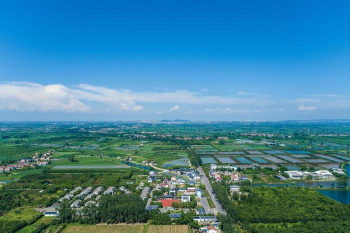 （高質(zhì)量發(fā)展調(diào)研行）湖北鄂州峒山村：十年蝶變“鄉(xiāng)愁”化“鄉(xiāng)戀”