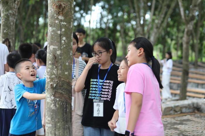 中国科学家进一步探明橡胶树驯化的遗传机制