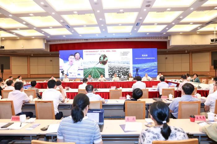 上海全力打造“農業科創谷” 將強化政策供給 各類創新要素“起舞”