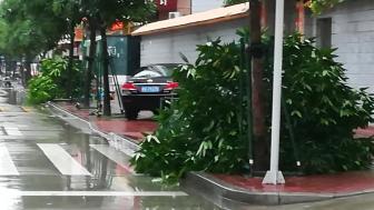 臺風“卡努”逼近東北 黑龍江、吉林等地“暴雨連連”