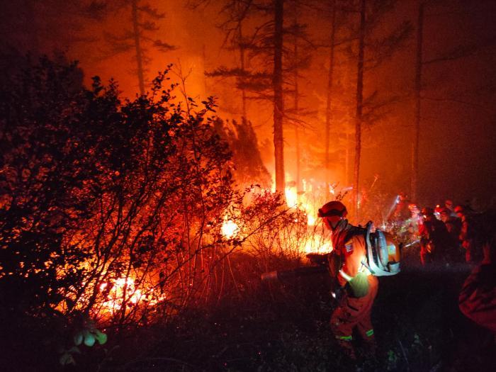 内蒙古北部林区发生多起森林火灾 火场救援人员约5000人