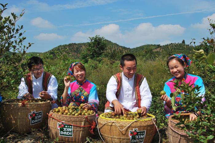 廣東力爭(zhēng)到2025年林業(yè)產(chǎn)業(yè)總產(chǎn)值達(dá)1萬億元