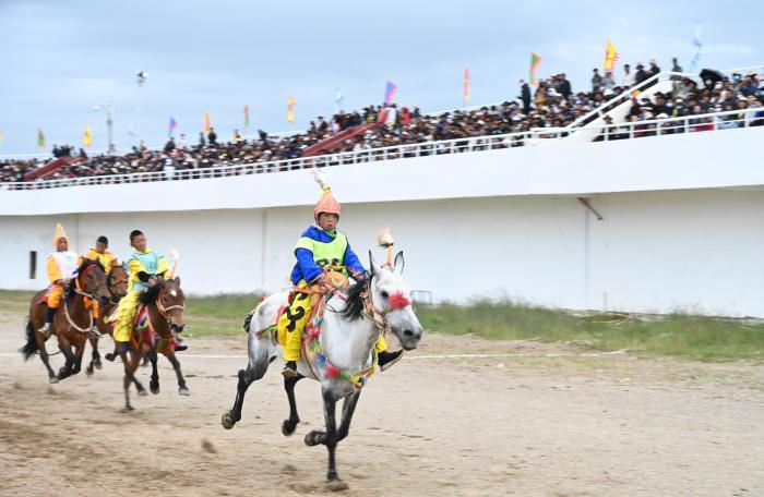 西藏藏北赛马节：马背少年驭风闪耀