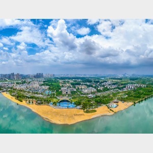 新時代中國調研行·長江篇|“荒洲”變“綠洲”——漢江上的綠色故事
