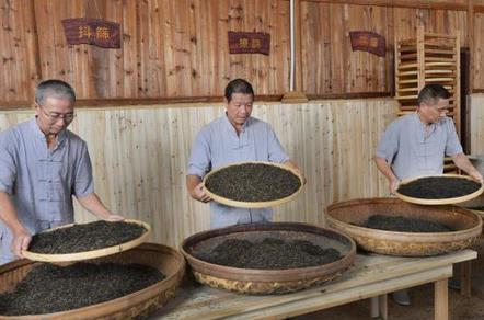 “坦洋工夫”新茶事  百年茶香飄四海