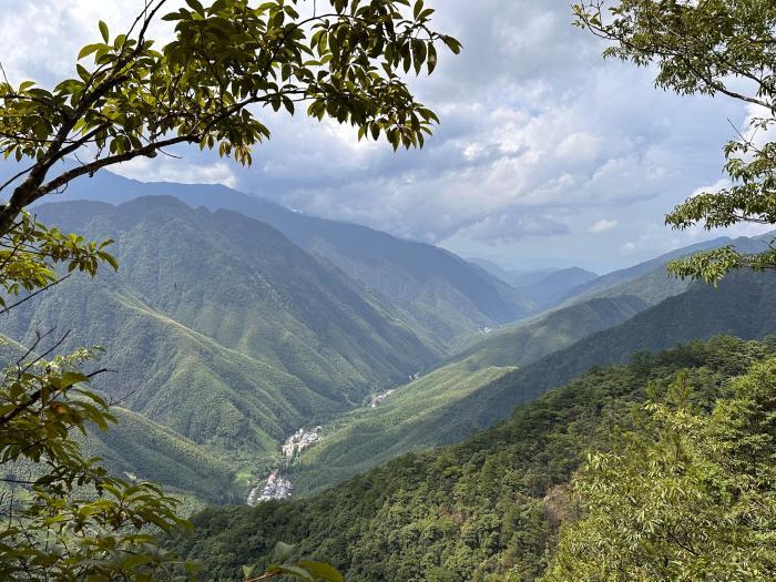 武夷山國家公園探秘：堅持生態保護第一