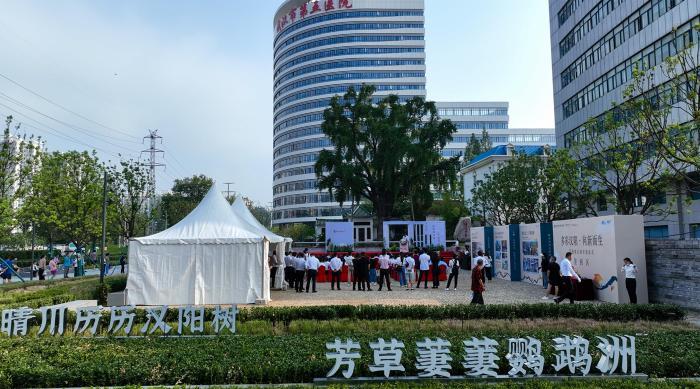 武漢540余歲“漢陽樹”住進“新家”