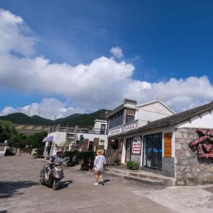 促農民增收消費提質 縣域商業三年行動啟動