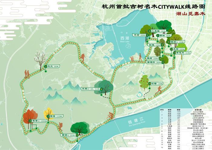 長(zhǎng)三角古樹(shù)名木保護(hù)論壇啟幕 杭州首批古樹(shù)游線路圖同步首發(fā)