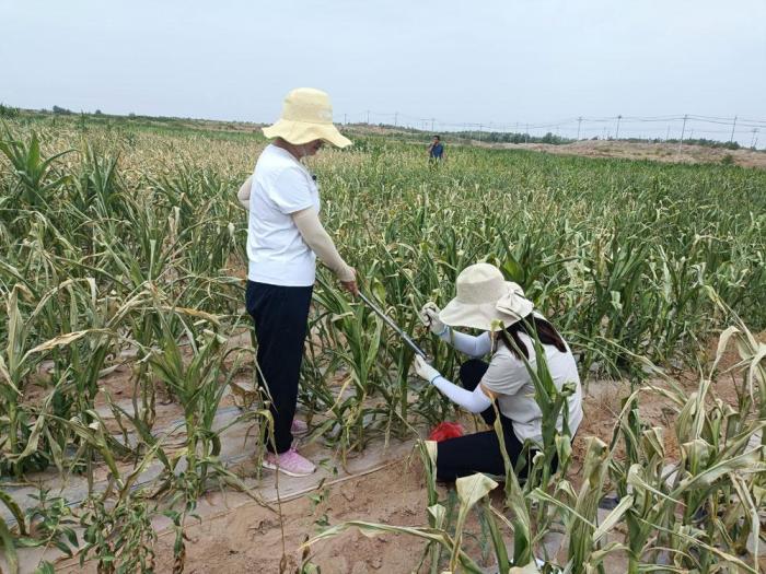 甘肅持續干旱嚴重影響人畜飲水和農業灌溉 多地啟應急供水措施