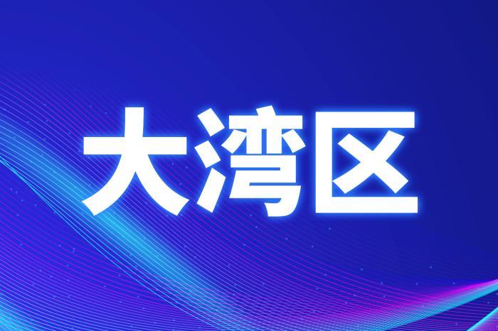香港民建聯舉辦粵港澳大灣區跨境安老研討會
