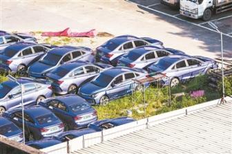 網(wǎng)約車呼吁完善行業(yè)法規(guī)