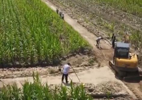 多舉措減輕災(zāi)害損失 確保秋糧豐收到手