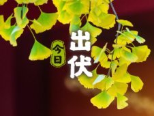 超長三伏天終于結束了，你感受到了嗎？