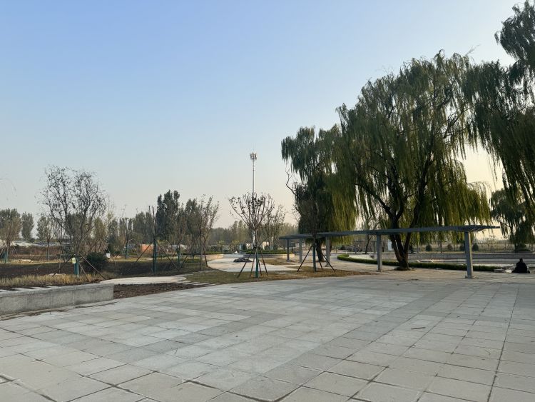 提效冲刺镇街行61张店湖田街道拆建之道