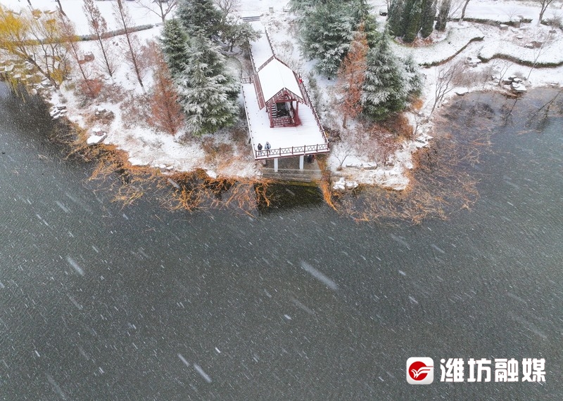 雪落成詩,無人機航拍下雪後的濰坊植物園,高新區浞河景區,每一幅都