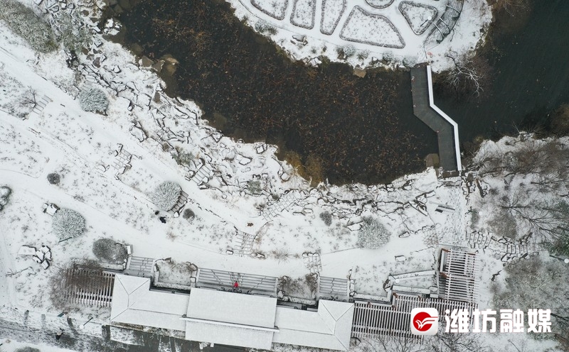 雪落成詩,無人機航拍下雪後的濰坊植物園,高新區浞河景區,每一幅都