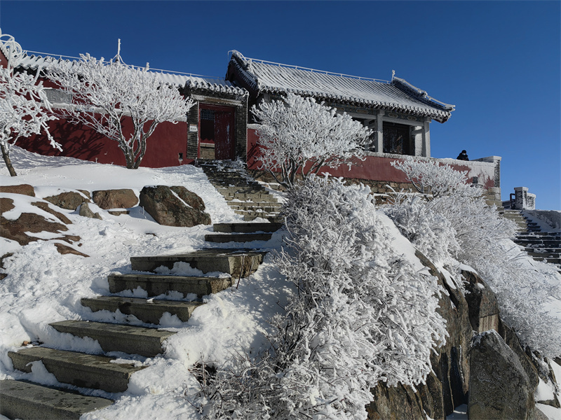 雪霁初晴的泰山银装素裹分外美丽