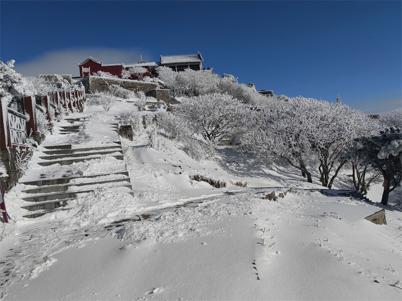 雪霁初晴的泰山银装素裹分外美丽
