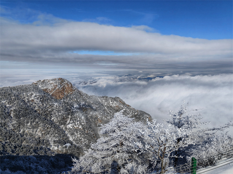雪霁初晴的泰山银装素裹分外美丽