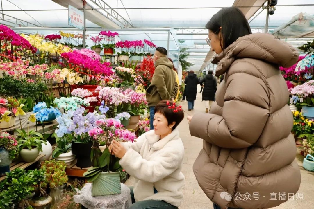 日照迎宾路花卉市场图片