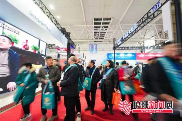 龙年商城展会开局何以新质满满