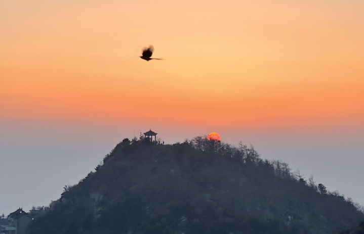 泰山晚霞夕照图片