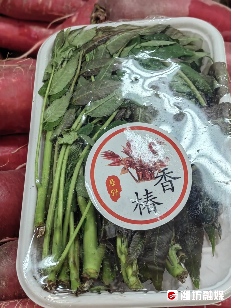 春菜陆续上市 潍坊市民"吃春"选择多_潍坊民生_潍坊_齐鲁网