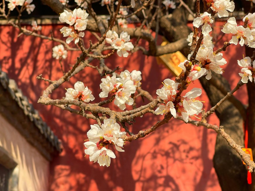 GetAttachment (16).jpg
