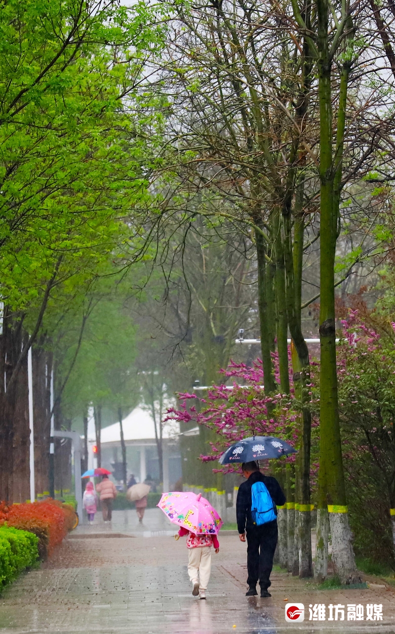 春雨滋润大地图片